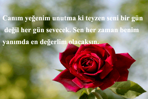 Teyzeden yeğene duygusal doğum günü mesajı