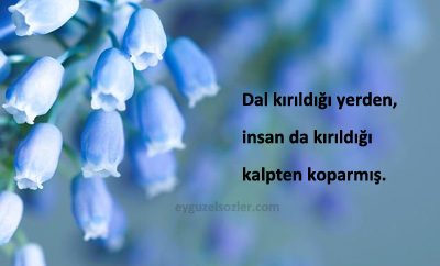 Dosta Kırgınlık Sözleri