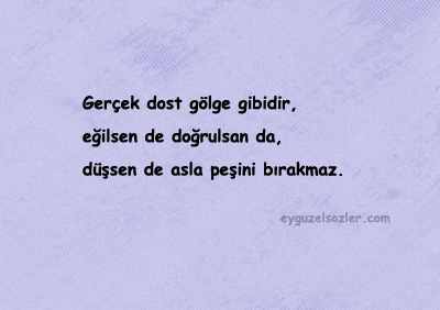 Dostlukla Alakalı Sözler