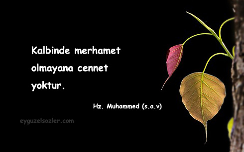 Anlamlı Sözler Dini