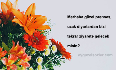 Teyze İle İlgili Güzel Sözler