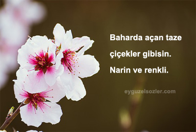 Kankaya İltifat Mesajları