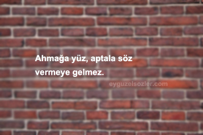 Anlamlı Duvar Yazıları