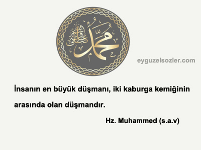 Peygamberimizin Güzel Sözleri