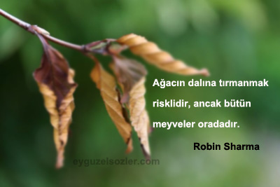 Robin Sharma Sözleri