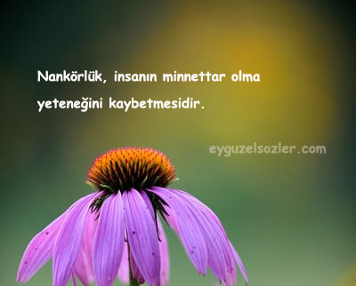 Nankörlükle İlgili Sözler