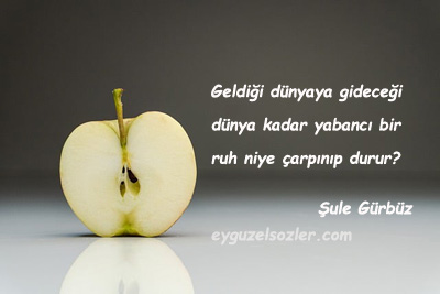 Şule Gürbüz Sözleri