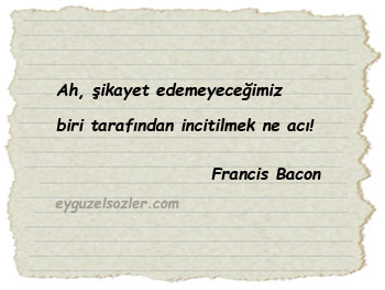 Francis Bacon Sözleri